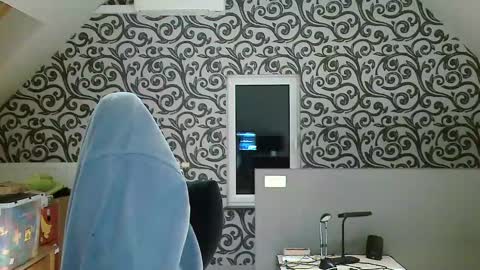 Snapshot of frenchfrieswithmayo chatting on December 7, 2024, 6:48 pm French fries online show from December 7, 2024, 6:48 pm