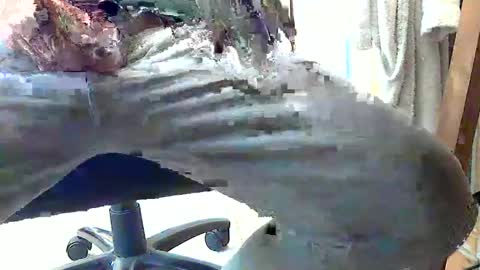 Snapshot of frenchpapalover chatting on February 28, 2025, 1:14 pm frenchpapalover online show from February 28, 2025, 1:14 pm