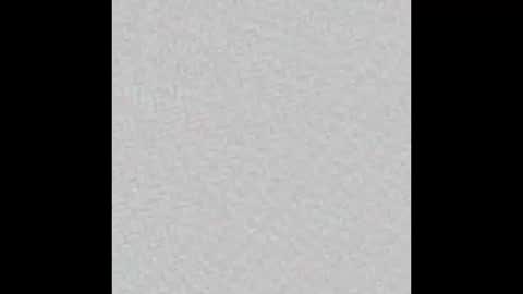 Freya online show from February 17, 2025, 11:13 am