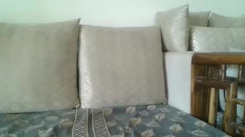 fruti loops  Bull online show from February 20, 2026, 6:26 am