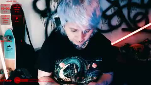          HEHIM  online show from August 9, 2026, 3:23 am
