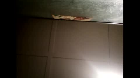 Snapshot of fucmebudoo chatting on February 20, 2025, 11:20 am Warwick online show from February 20, 2025, 11:20 am