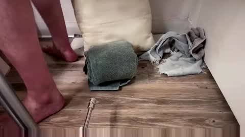 fukmyass247 online show from October 25, 2025, 12:13 pm