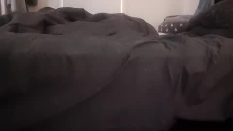 Snapshot of full4cefull chatting on December 8, 2024, 12:29 am Pizzaz online show from December 8, 2024, 12:29 am