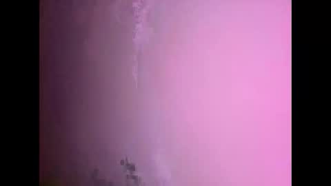 Daniel kim online show from November 17, 2025, 7:30 pm