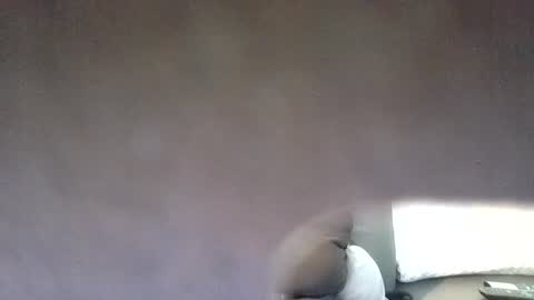 Snapshot of funsunny chatting on July 7, 2026, 11:47 am funsunny online show from July 7, 2026, 11:47 am