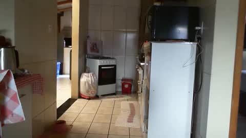 Snapshot of gabibrasil chatting on February 26, 2026, 2:27 pm gaby layla online show from February 26, 2026, 2:27 pm