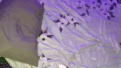 gabriel online show from March 16, 2026, 5:44 am