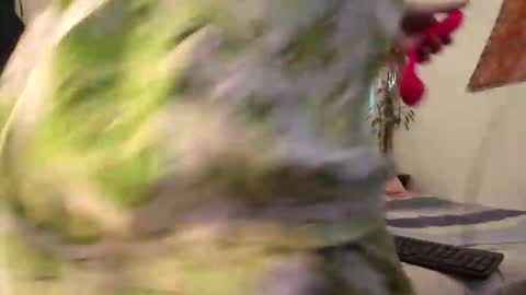 gabyaridiii online show from April 30, 2026, 8:57 pm