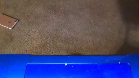 gangdrewski online show from March 6, 2026, 4:53 am