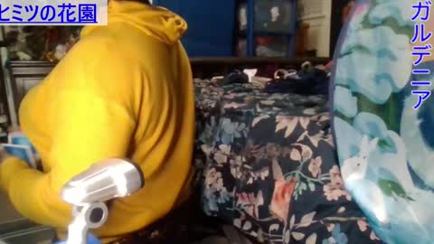 Gardenia online show from December 28, 2024, 2:22 am