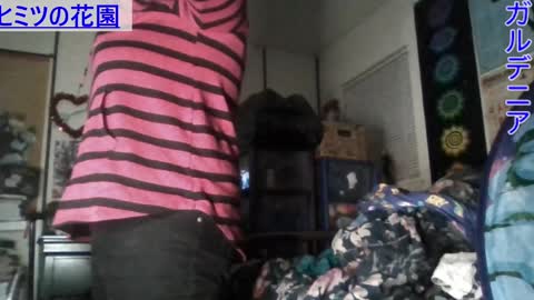 Gardenia online show from January 7, 2025, 7:42 am