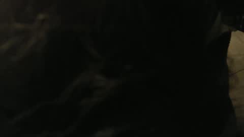 Snapshot of gary_in_maryland chatting on January 9, 2025, 12:46 am Gary online show from January 9, 2025, 12:46 am