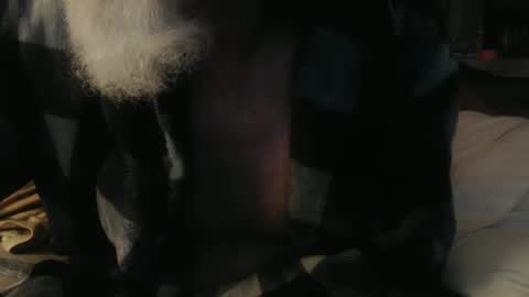 Snapshot of gary_in_maryland chatting on March 5, 2025, 4:02 am Gary online show from March 5, 2025, 4:02 am