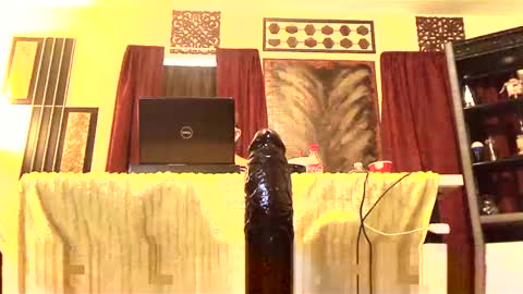 gatewaylaptop2019 online show from March 2, 2025, 3:37 pm