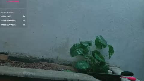 Snapshot of gaviluc_ chatting on July 28, 2026, 3:21 pm gaviluc_ online show from July 28, 2026, 3:21 pm