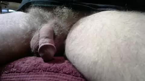 gemini_2 online show from January 11, 2026, 2:55 pm