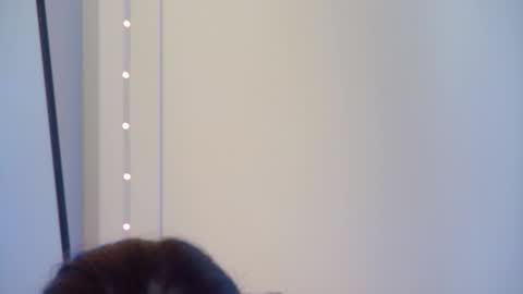 Snapshot of gentlerossi chatting on October 1, 2025, 4:02 pm GentleRossi online show from October 1, 2025, 4:02 pm