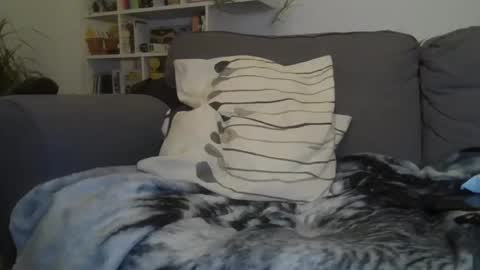 Geon online show from December 4, 2025, 1:59 am