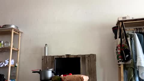 gerson229 online show from January 6, 2026, 4:11 pm