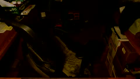 gfhdhr2 online show from March 4, 2025, 9:18 am