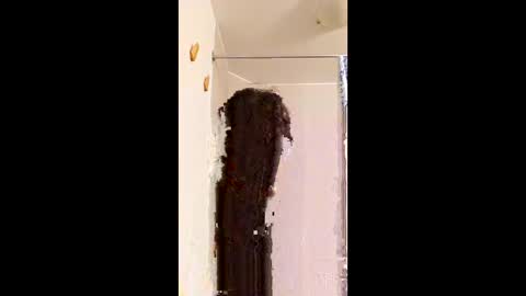 ggggu495826 online show from February 10, 2026, 2:32 pm