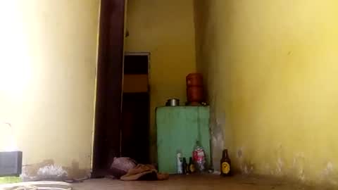 Gaby online show from September 24, 2025, 4:21 pm