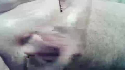 Snapshot of ghost1805 chatting on December 10, 2024, 2:05 am ghost1805 online show from December 10, 2024, 2:05 am