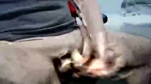 Snapshot of ghost1805 chatting on October 6, 2025, 10:29 pm ghost1805 online show from October 6, 2025, 10:29 pm