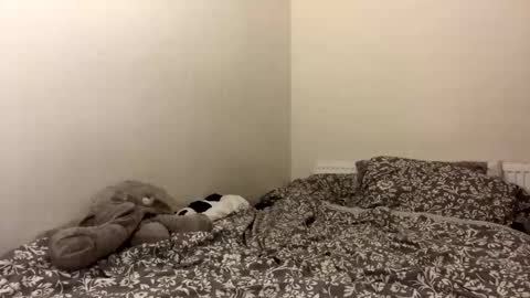 Snapshot of ghostpetal chatting on October 12, 2025, 1:37 am ghostpetal online show from October 12, 2025, 1:37 am