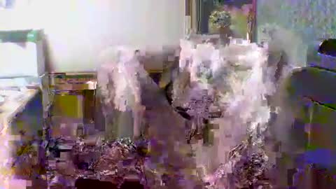 giann005 online show from March 24, 2026, 3:28 pm