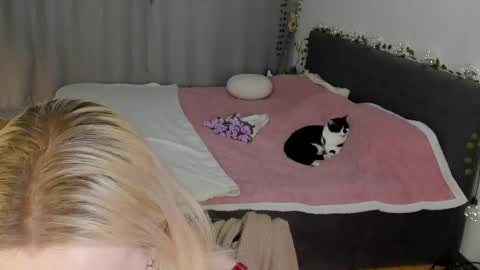 Gin online show from May 2, 2026, 6:29 am