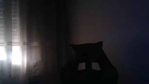 Snapshot of gioshadow chatting on May 26, 2026, 3:52 pm gioshadow online show from May 26, 2026, 3:52 pm