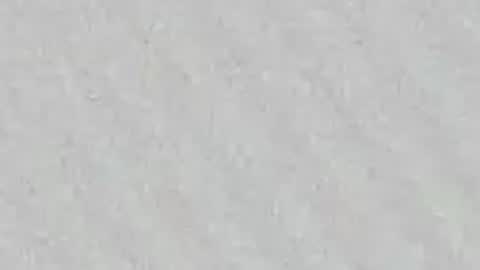 Snapshot of gissy_palmer chatting on April 23, 2026, 11:53 am Gissy online show from April 23, 2026, 11:53 am