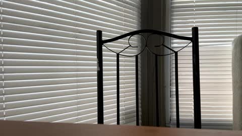 glazehoney online show from January 10, 2025, 5:02 pm