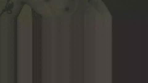 gnz310388 online show from February 12, 2026, 1:11 am