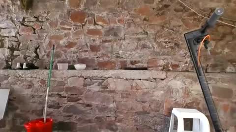Snapshot of goddess_carrie chatting on August 2, 2026, 11:52 am GoddessCarrie online show from August 2, 2026, 11:52 am