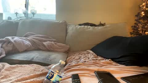 Snapshot of goddessmayvn chatting on December 29, 2024, 4:40 pm GoddessMayvn online show from December 29, 2024, 4:40 pm