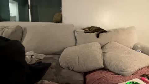 Snapshot of goddessmayvn chatting on February 3, 2025, 9:52 am GoddessMayvn online show from February 3, 2025, 9:52 am