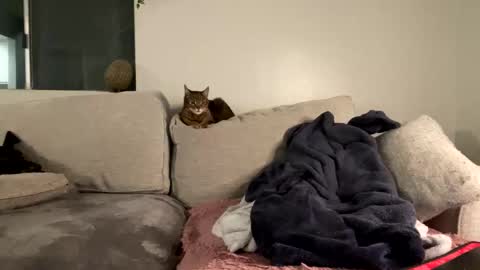 Snapshot of goddessmayvn chatting on February 8, 2025, 7:15 am GoddessMayvn online show from February 8, 2025, 7:15 am