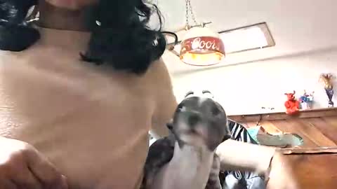 goddessxxamina online show from January 13, 2026, 4:29 am