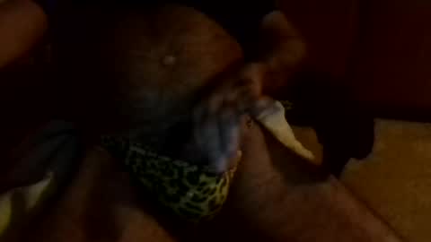 gojo885 online show from January 13, 2025, 3:23 am