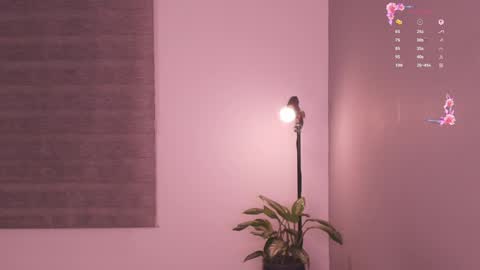 Rose  online show from May 19, 2026, 6:31 am
