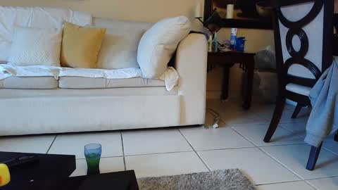 gothbaby305 online show from September 16, 2025, 5:58 pm