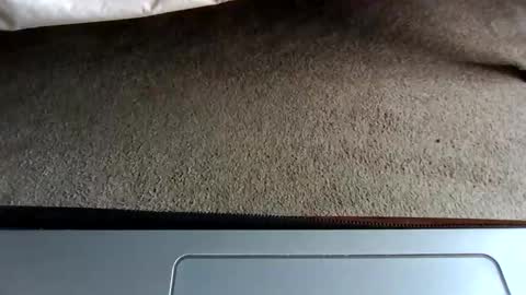 watch me stroke online show from May 3, 2026, 8:37 pm