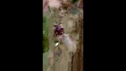 Snapshot of grabisz30 chatting on May 11, 2026, 3:29 pm grabisz30 online show from May 11, 2026, 3:29 pm