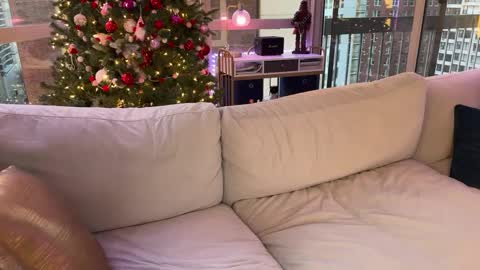 Gracie Mae online show from January 17, 2025, 10:23 pm