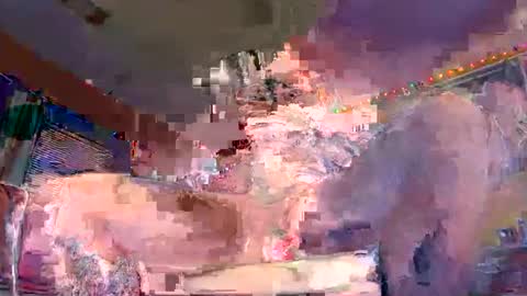 grambag1995 online show from March 5, 2026, 4:52 am