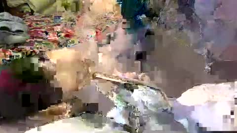 Lisa online show from January 7, 2025, 3:35 am