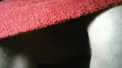 grapefruit online show from December 18, 2025, 8:53 am